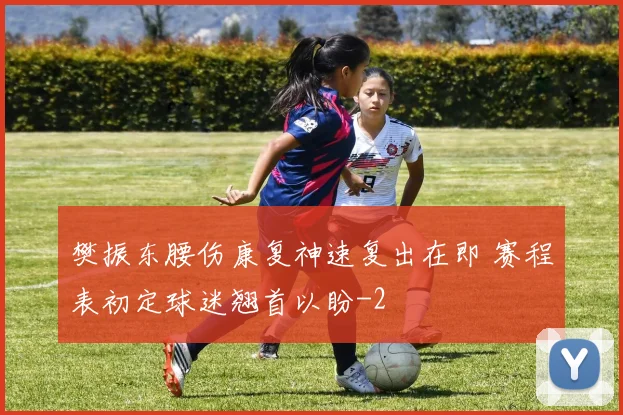 樊振东腰伤康复神速复出在即 赛程表初定球迷翘首以盼