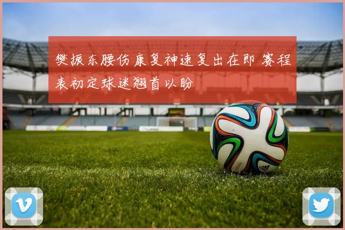 樊振东腰伤康复神速复出在即 赛程表初定球迷翘首以盼